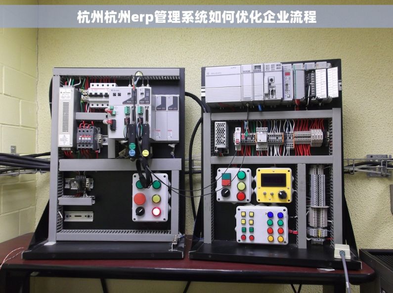 杭州杭州erp管理系统如何优化企业流程