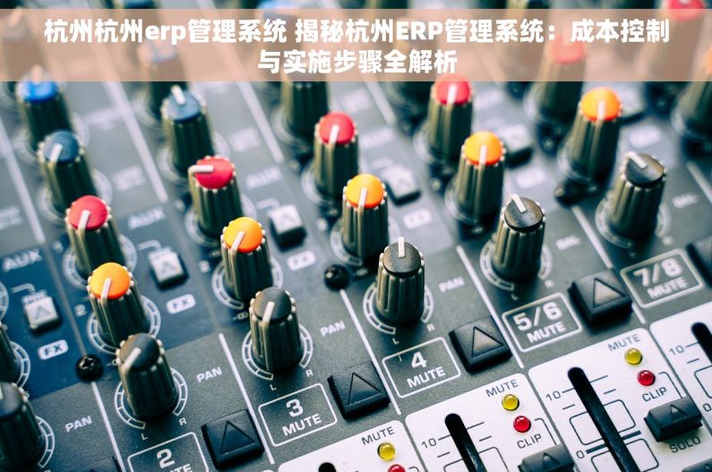 杭州杭州erp管理系统 揭秘杭州ERP管理系统：成本控制与实施步骤全解析