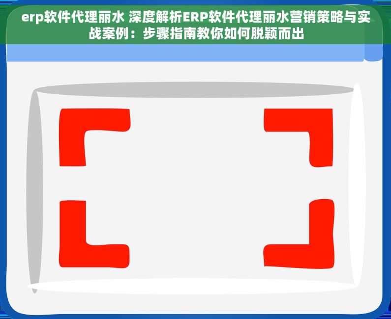 erp软件代理丽水 深度解析ERP软件代理丽水营销策略与实战案例：步骤指南教你如何脱颖而出