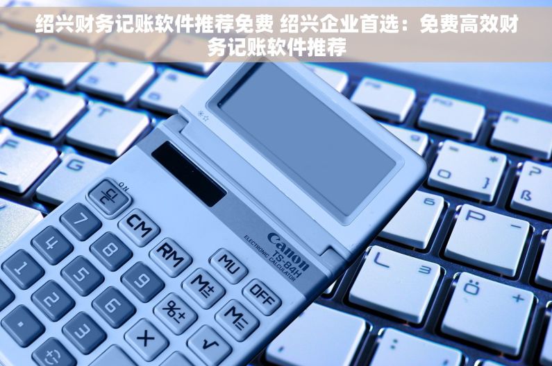 绍兴财务记账软件推荐免费 绍兴企业首选：免费高效财务记账软件推荐