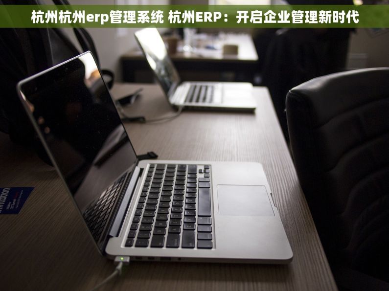 杭州杭州erp管理系统 杭州ERP：开启企业管理新时代