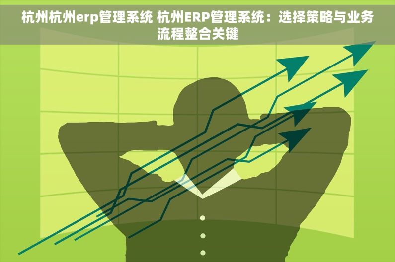 杭州杭州erp管理系统 杭州ERP管理系统：选择策略与业务流程整合关键