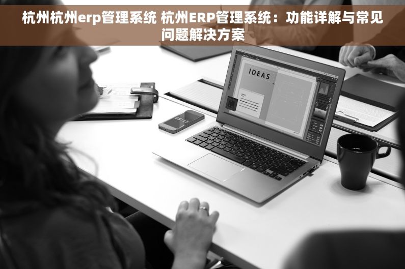 杭州杭州erp管理系统 杭州ERP管理系统：功能详解与常见问题解决方案