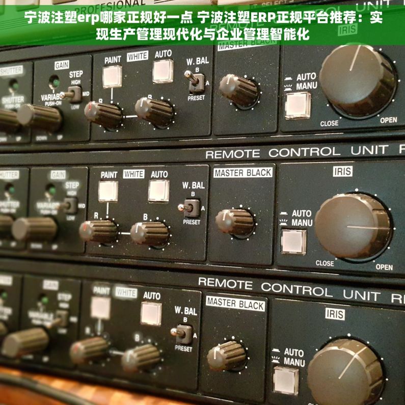 宁波注塑erp哪家正规好一点 宁波注塑ERP正规平台推荐：实现生产管理现代化与企业管理智能化