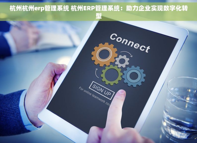 杭州杭州erp管理系统 杭州ERP管理系统：助力企业实现数字化转型