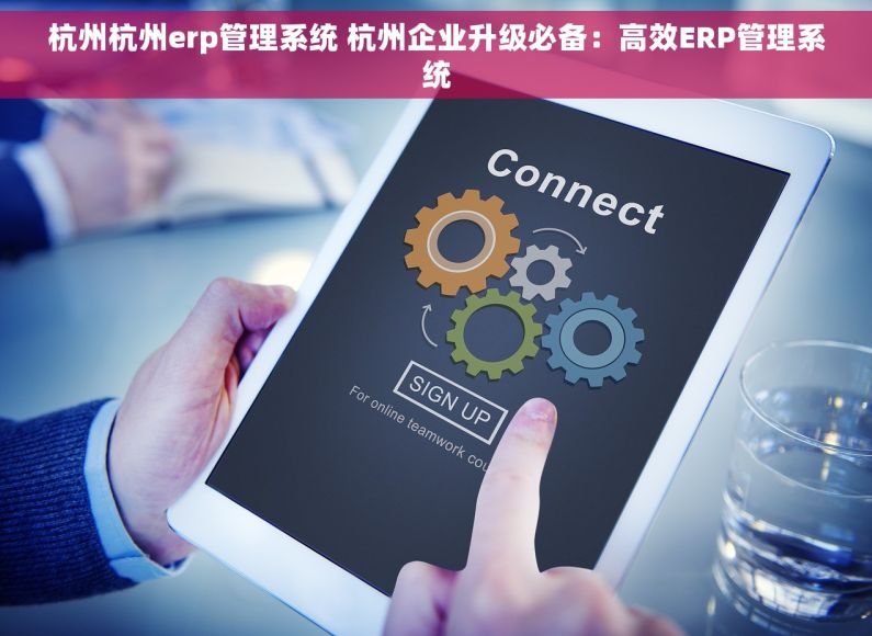 杭州杭州erp管理系统 杭州企业升级必备：高效ERP管理系统