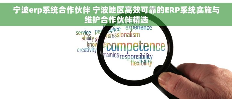 宁波erp系统合作伙伴 宁波地区高效可靠的ERP系统实施与维护合作伙伴精选
