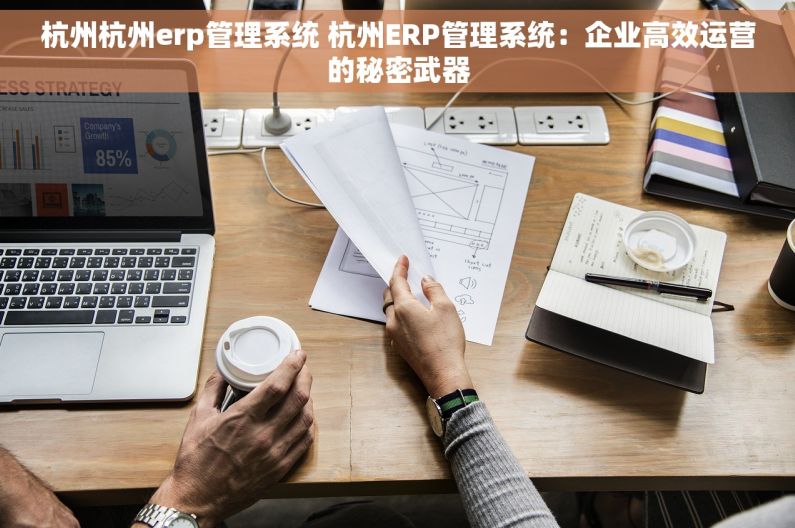 杭州杭州erp管理系统 杭州ERP管理系统：企业高效运营的秘密武器