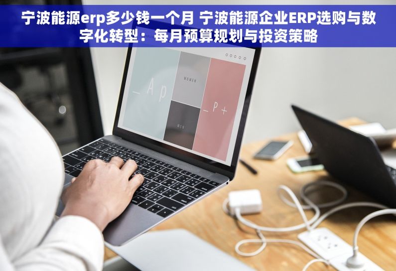 宁波能源erp多少钱一个月 宁波能源企业ERP选购与数字化转型：每月预算规划与投资策略