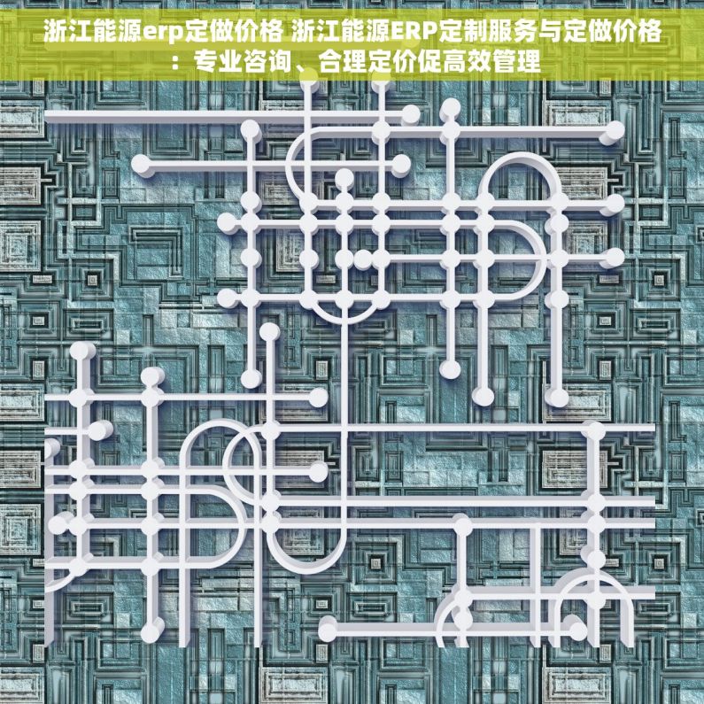 浙江能源erp定做价格 浙江能源ERP定制服务与定做价格：专业咨询、合理定价促高效管理