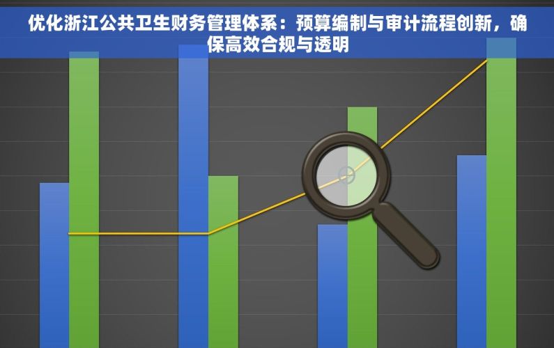 优化浙江公共卫生财务管理体系：预算编制与审计流程创新，确保高效合规与透明