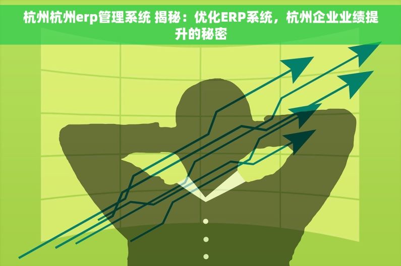 杭州杭州erp管理系统 揭秘：优化ERP系统，杭州企业业绩提升的秘密