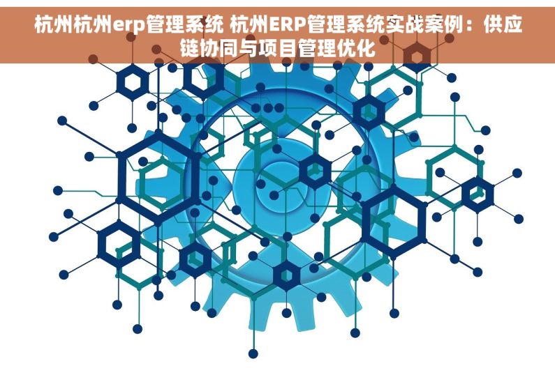 杭州杭州erp管理系统 杭州ERP管理系统实战案例：供应链协同与项目管理优化