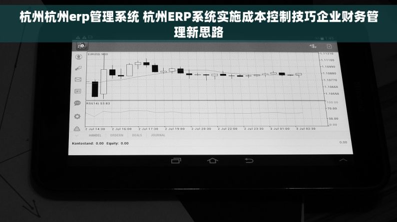 杭州杭州erp管理系统 杭州ERP系统实施成本控制技巧企业财务管理新思路