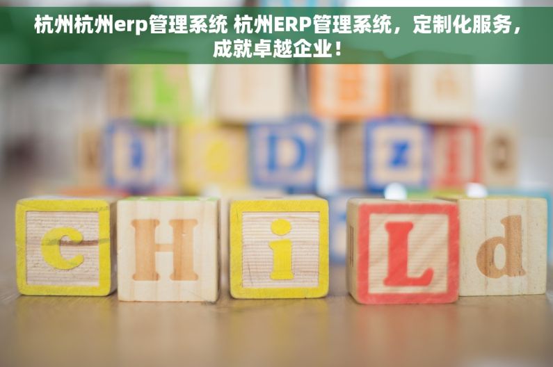 杭州杭州erp管理系统 杭州ERP管理系统，定制化服务，成就卓越企业！