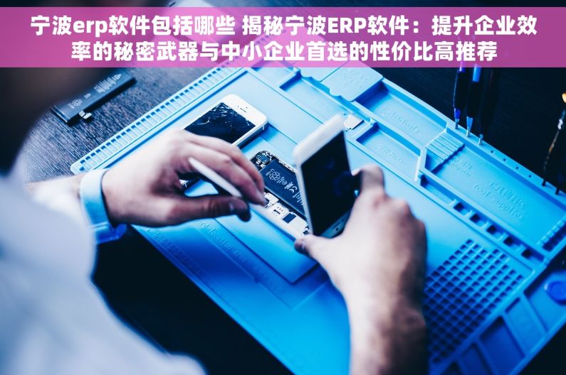 宁波erp软件包括哪些 揭秘宁波ERP软件：提升企业效率的秘密武器与中小企业首选的性价比高推荐