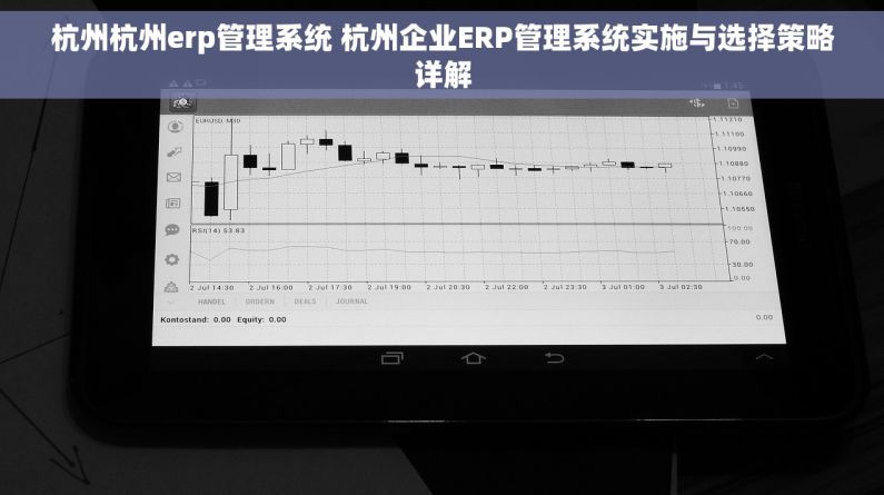 杭州杭州erp管理系统 杭州企业ERP管理系统实施与选择策略详解