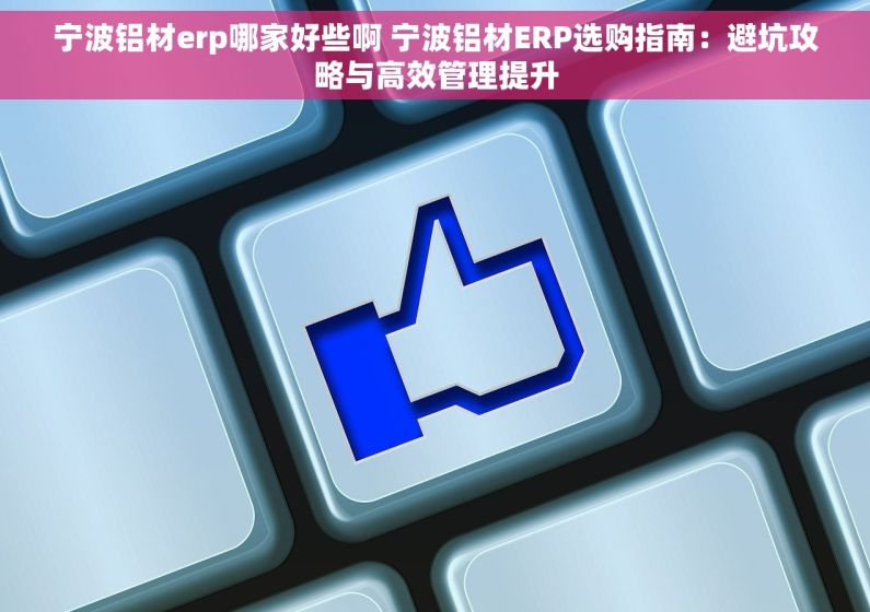宁波铝材erp哪家好些啊 宁波铝材ERP选购指南：避坑攻略与高效管理提升