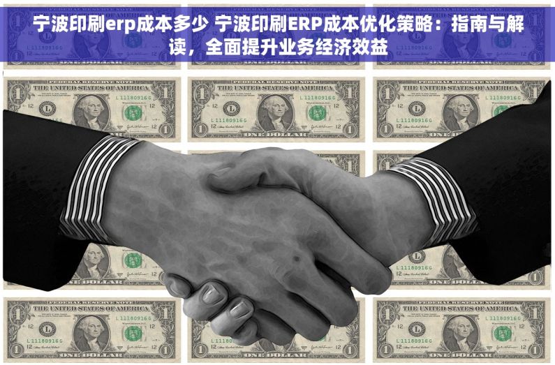 宁波印刷erp成本多少 宁波印刷ERP成本优化策略：指南与解读，全面提升业务经济效益