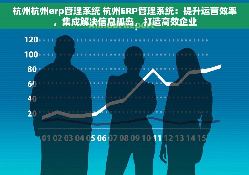 杭州杭州erp管理系统 杭州ERP管理系统：提升运营效率，集成解决信息孤岛，打造高效企业