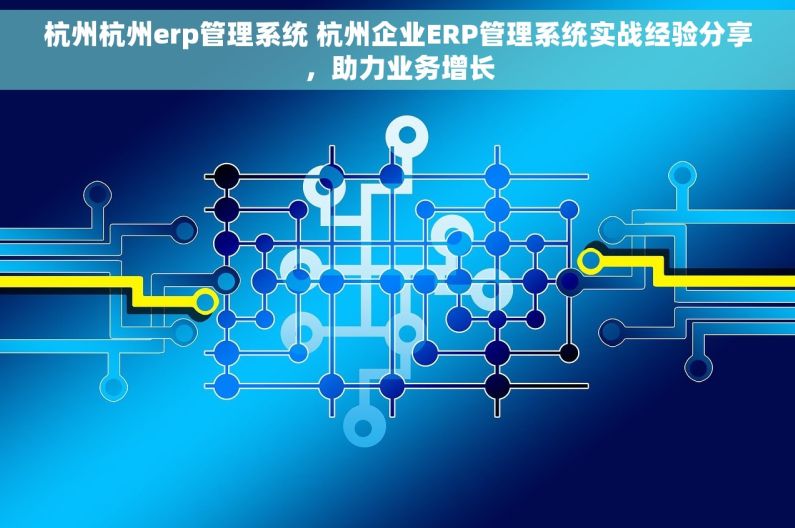 杭州杭州erp管理系统 杭州企业ERP管理系统实战经验分享，助力业务增长