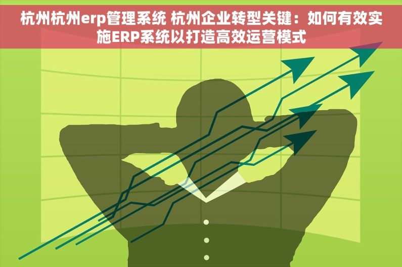 杭州杭州erp管理系统 杭州企业转型关键：如何有效实施ERP系统以打造高效运营模式