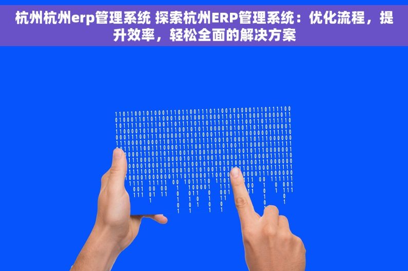 杭州杭州erp管理系统 探索杭州ERP管理系统：优化流程，提升效率，轻松全面的解决方案