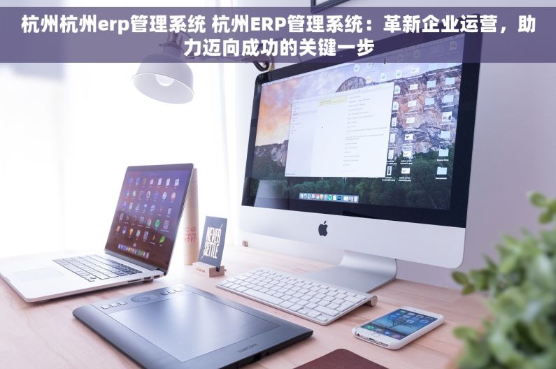 杭州杭州erp管理系统 杭州ERP管理系统：革新企业运营，助力迈向成功的关键一步