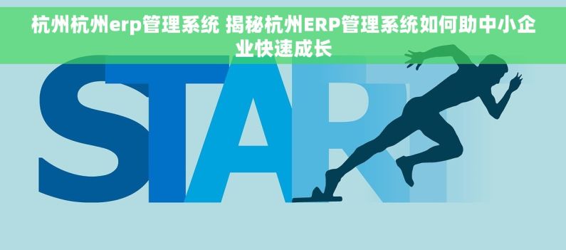 杭州杭州erp管理系统 揭秘杭州ERP管理系统如何助中小企业快速成长