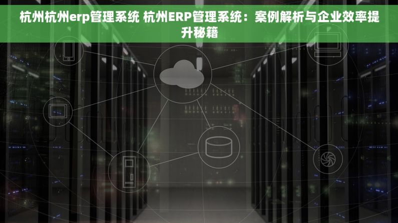 杭州杭州erp管理系统 杭州ERP管理系统：案例解析与企业效率提升秘籍