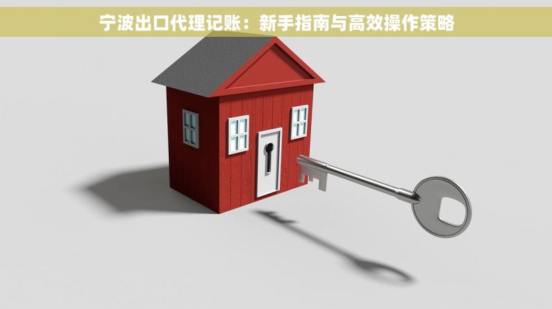 宁波出口代理记账：新手指南与高效操作策略