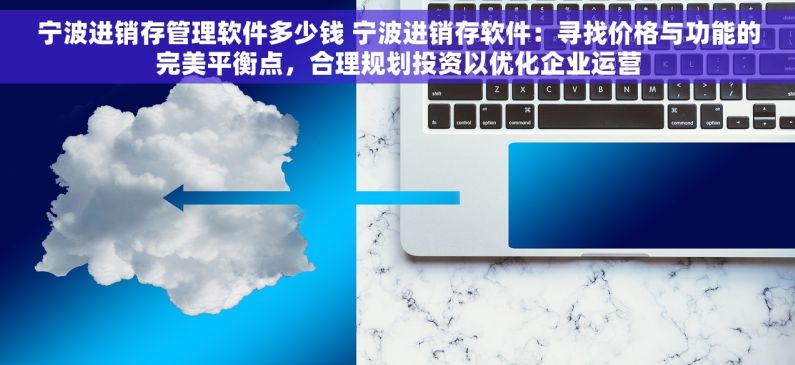 宁波进销存管理软件多少钱 宁波进销存软件：寻找价格与功能的完美平衡点，合理规划投资以优化企业运营