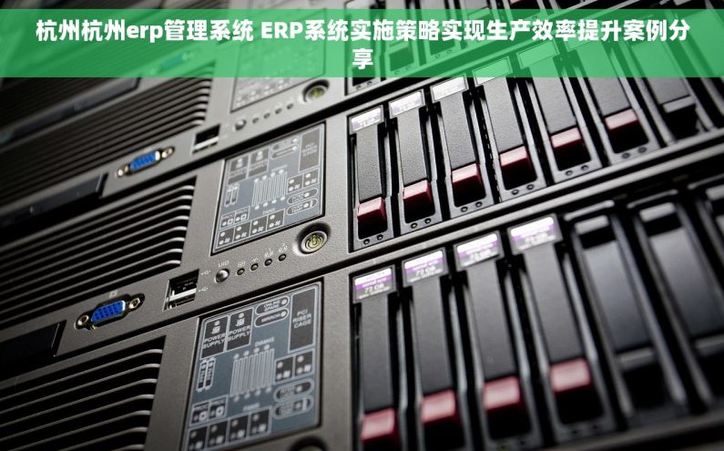 杭州杭州erp管理系统 ERP系统实施策略实现生产效率提升案例分享