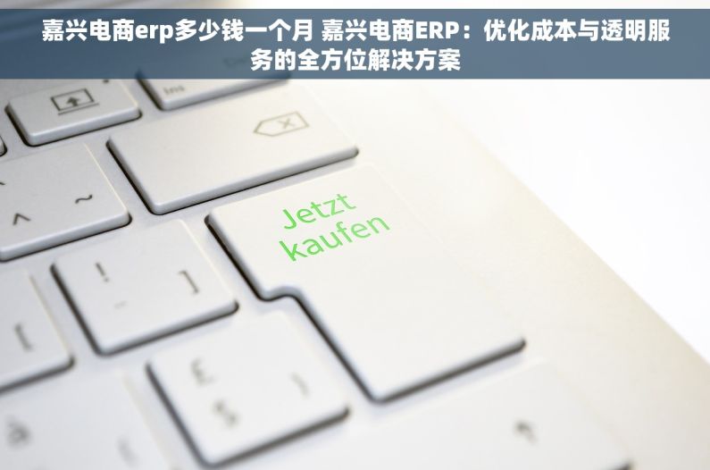 嘉兴电商erp多少钱一个月 嘉兴电商ERP：优化成本与透明服务的全方位解决方案
