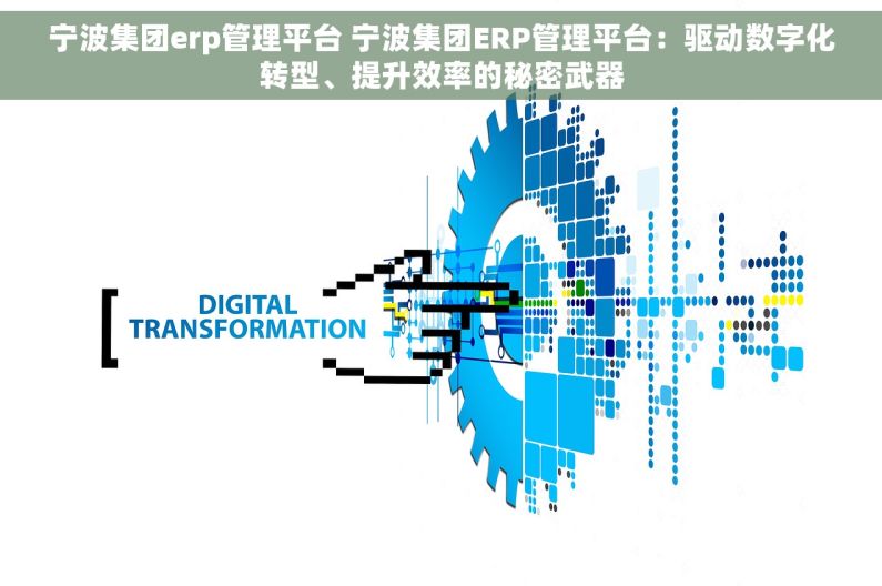 宁波集团erp管理平台 宁波集团ERP管理平台：驱动数字化转型、提升效率的秘密武器