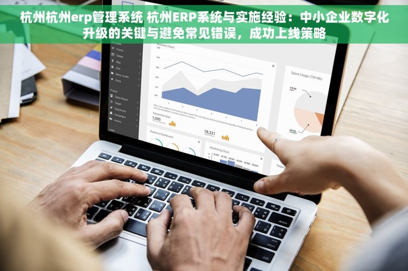 杭州杭州erp管理系统 杭州ERP系统与实施经验：中小企业数字化升级的关键与避免常见错误，成功上线策略
