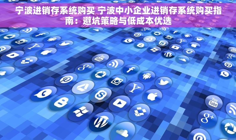 宁波进销存系统购买 宁波中小企业进销存系统购买指南：避坑策略与低成本优选