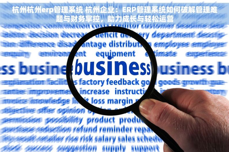 杭州杭州erp管理系统 杭州企业：ERP管理系统如何破解管理难题与财务掌控，助力成长与轻松运营