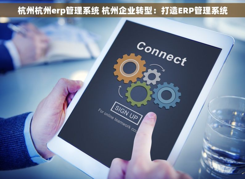 杭州杭州erp管理系统 杭州企业转型：打造ERP管理系统