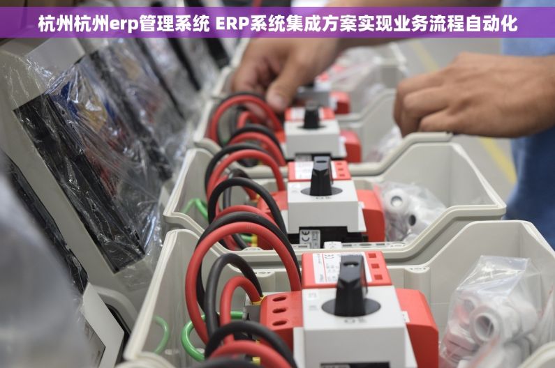 杭州杭州erp管理系统 ERP系统集成方案实现业务流程自动化