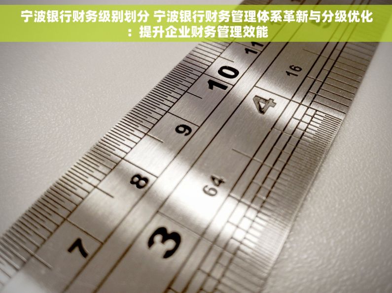 宁波银行财务级别划分 宁波银行财务管理体系革新与分级优化：提升企业财务管理效能