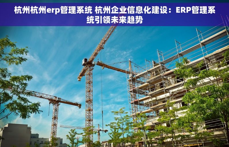 杭州杭州erp管理系统 杭州企业信息化建设：ERP管理系统引领未来趋势