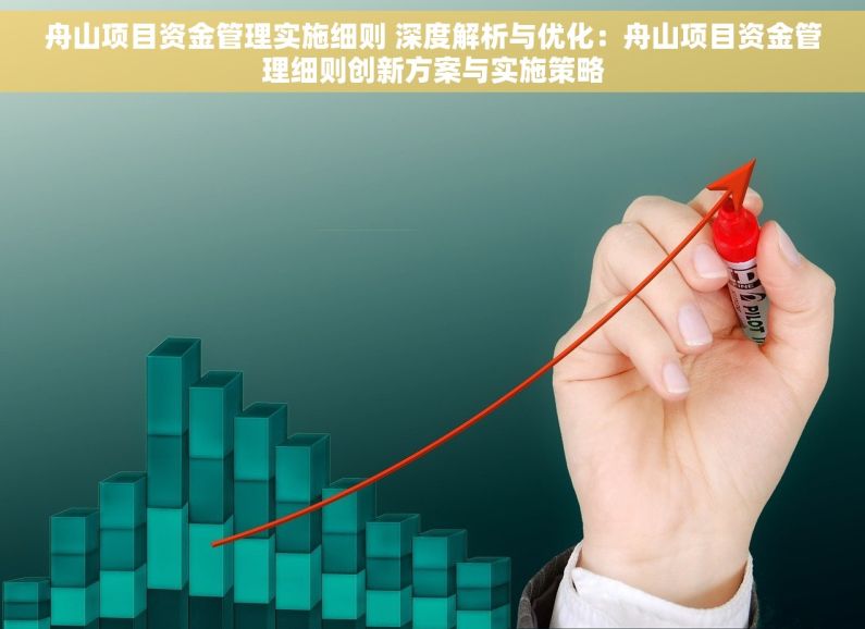 舟山项目资金管理实施细则 深度解析与优化：舟山项目资金管理细则创新方案与实施策略
