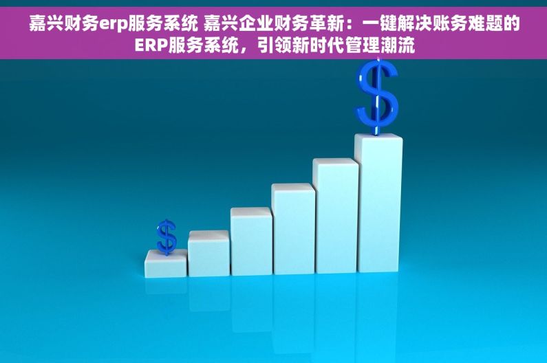 嘉兴财务erp服务系统 嘉兴企业财务革新：一键解决账务难题的ERP服务系统，引领新时代管理潮流