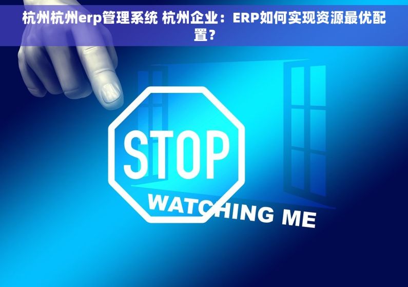 杭州杭州erp管理系统 杭州企业：ERP如何实现资源最优配置？