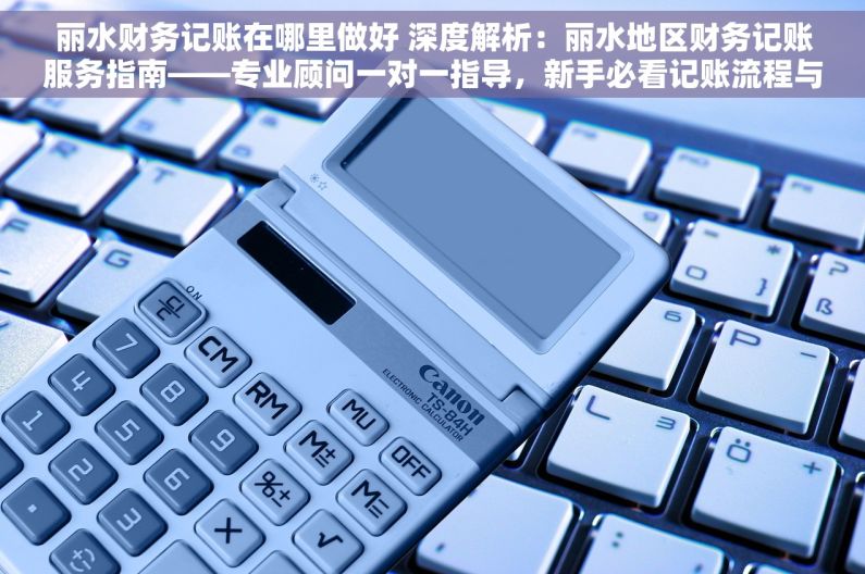 丽水财务记账在哪里做好 深度解析：丽水地区财务记账服务指南——专业顾问一对一指导，新手必看记账流程与注意事项