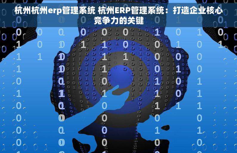 杭州杭州erp管理系统 杭州ERP管理系统：打造企业核心竞争力的关键