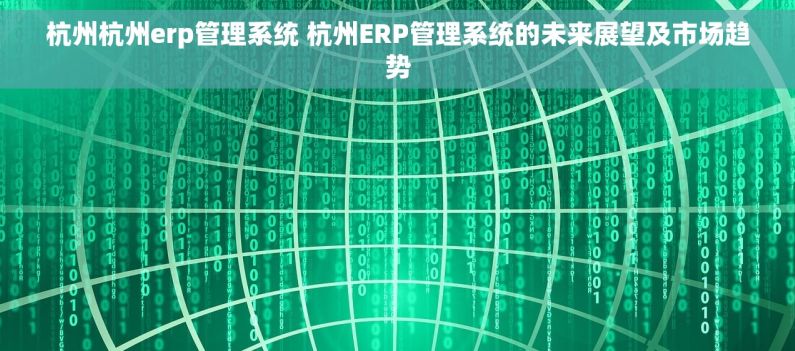 杭州杭州erp管理系统 杭州ERP管理系统的未来展望及市场趋势