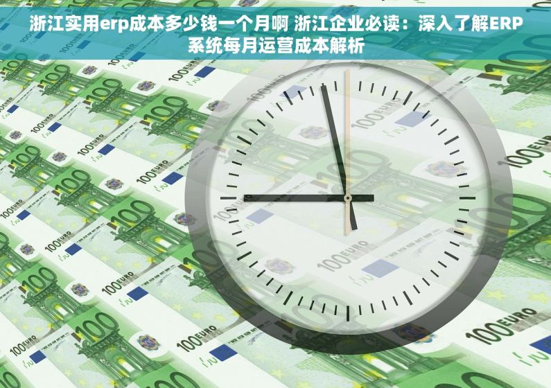 浙江实用erp成本多少钱一个月啊 浙江企业必读：深入了解ERP系统每月运营成本解析