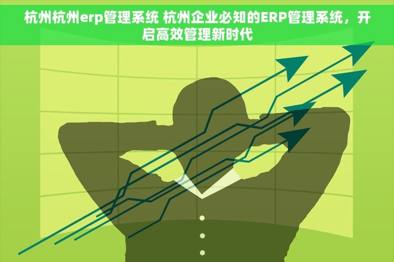 杭州杭州erp管理系统 杭州企业必知的ERP管理系统，开启高效管理新时代